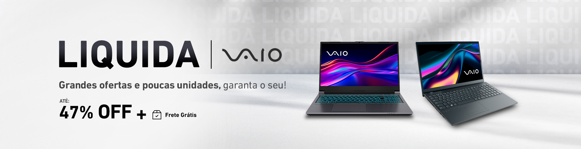 Liquida VAIO